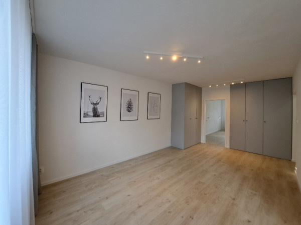 3+1 Gogolova